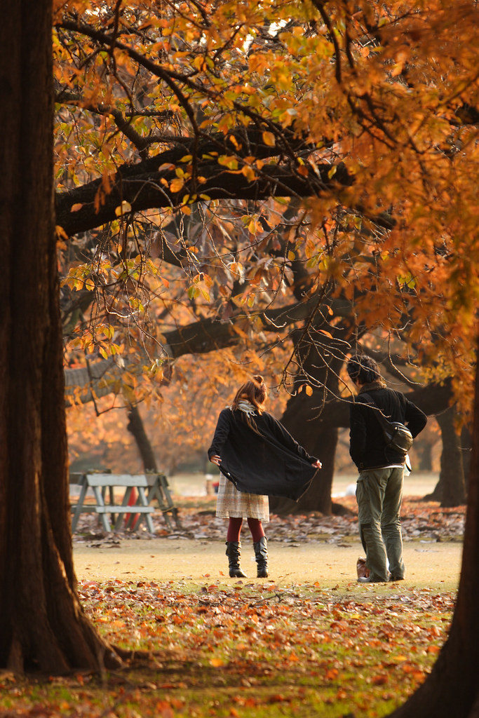 Fall into Love: Seasonal Tips for Romance