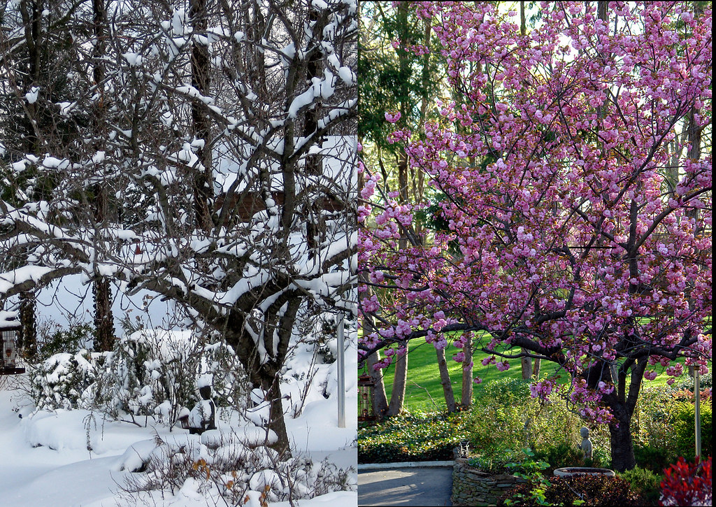 How Seasonal Changes Affect Relationships (and What to Do About It)