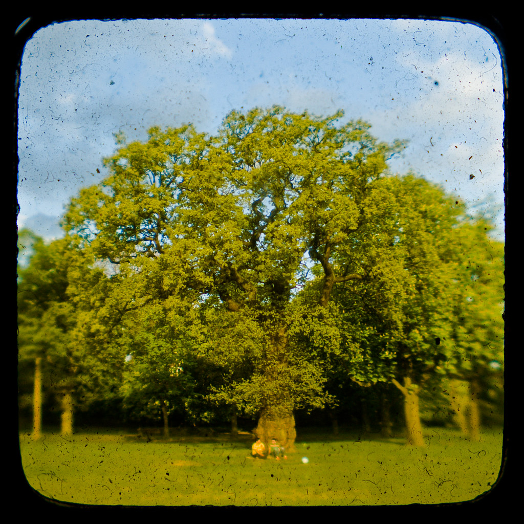 Earth Day for Two: Sustainable Living & Shared Values