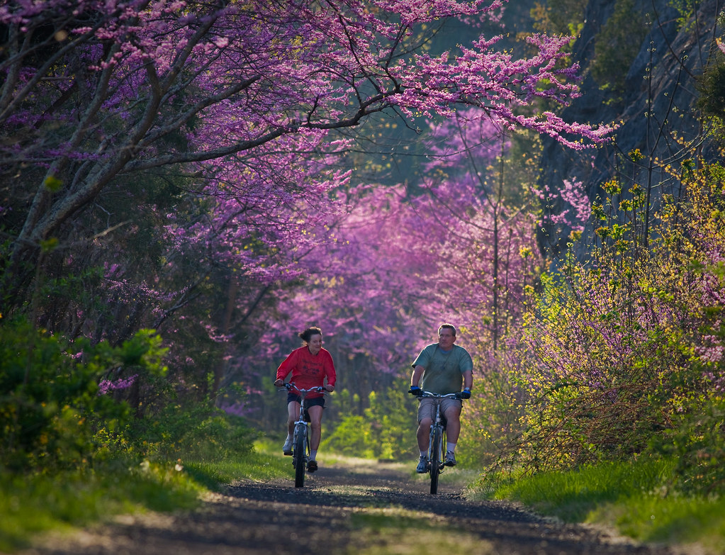 Revisiting Goals as a Couple: Spring Edition